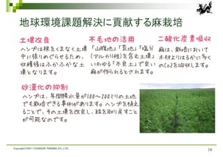 地球環境課題解決に貢献する麻栽培




Copyright(C)2011 YOUNGOR TRADING CO., LTD.
                                             10
 