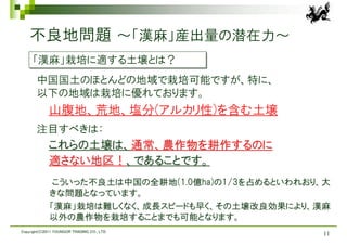 不良地問題 ～「漢麻」産出量の潜在力～
     「漢麻」栽培に適する土壌とは？
       中国国土のほとんどの地域で栽培可能ですが、特に、
       以下の地域は栽培に優れております。
             山腹地、荒地、塩分(アルカリ性)を含む土壌
       注目すべきは：
             これらの土壌は、通常、農作物を耕作するのに
             適さない地区！、であることです。
              こういった不良土は中国の全耕地(1.0億ha)の1/3を占めるといわれおり、大
             きな問題となっています。
             「漢麻」栽培は難しくなく、成長スピードも早く、その土壌改良効果により、漢麻
             以外の農作物を栽培することまでも可能となります。
Copyright(C)2011 YOUNGOR TRADING CO., LTD.
                                                   11
 