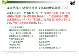 漢麻特種バイオ資源産業技術革新戦略聯盟 ２／２
    企業を主体とし、市場動向に沿って、産学研（企業・大学・研究
    機関）が連携して技術革新体系を作り上げ、経済構造の調整と
    産業優先化とレベルアップを促進し、産業独自の競争力を向上
    させ、革新による発展を実現します。
         ＜主な構成組織＞
         解放軍総後勤部軍需装備研究所                      雲南省農業科学院経済作物研究所
         ヤンガー集団股份有限公司                        漢麻産業投資控股有限公司
         廊坊智通機器人系統有限公司                       山東海龍股份有限公司
         中国中紡集団公司                            北京大学
         ハルピン工業大学                            西安工程大学
         華南理工大学                              北京化工大学
         東北林業大学                              吉林東風機械装備有限公司

Copyright(C)2011 YOUNGOR TRADING CO., LTD.
                                                               17
 