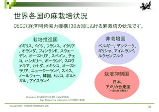 世界各国の麻栽培状況
    OECD（経済開発協力機構）30カ国における麻栽培の状況です。

                        栽培推進国                                              非栽培国
          イギリス、ドイツ、フランス、イタリア                                             ベルギー、デンマーク、
          、オランダ、フィンランド、スウェー                                              ギリシャ、アイルランド、
          デン、オーストリア、スペイン、チェ                                              ルクセンブルク
          コ、ハンガリー、ポーランド、スロヴ
          ァキア、カナダ、メキシコ、オースト
          ラリア、ニュージーランド、スイス、
          ノールウェー、韓国、トルコ、ポルト                                               栽培抑制国
          ガル、アイスランド                                                          日本、
                                                                           アメリカ合衆国
                                                                            （一部の州で解禁）

                 Resource ;EIHA(2005),FAO state(2004),
                              Ivan Bocsa,The cultivation of HEMP(1998)

Copyright(C)2011 YOUNGOR TRADING CO., LTD.
                                                                                        26
 