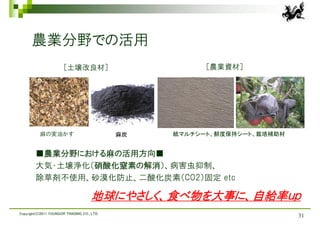 農業分野での活用
                       ［土壌改良材］                          ［農業資材］




          麻の実油かす                             麻炭   紙マルチシート、鮮度保持シート、栽培補助材


        ■農業分野における麻の活用方向■
        大気・土壌浄化（硝酸化窒素の解消）、病害虫抑制、
        除草剤不使用、砂漠化防止、二酸化炭素（CO2）固定 etc

                                      地球にやさしく、食べ物を大事に、自給率ｕｐ
Copyright(C)2011 YOUNGOR TRADING CO., LTD.
                                                                          31
 