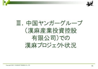 Ⅲ．中国ヤンガーグループ
                  （漢麻産業投資控股
                    有限公司）での
                  漢麻プロジェクト状況

Copyright(C)2011 YOUNGOR TRADING CO., LTD.
                                             36
 
