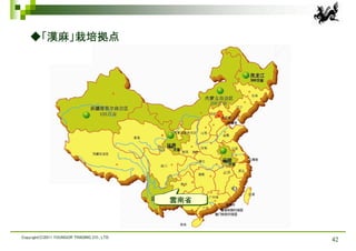 ◆「漢麻」栽培拠点




                                             雲南省
                                             雲南省



Copyright(C)2011 YOUNGOR TRADING CO., LTD.
                                                   42
 