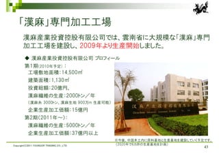 「漢麻」専門加工工場
       漢麻産業投資控股有限公司では、雲南省に大規模な「漢麻」専門
       加工工場を建設し、2009年より生産開始しました。
        ◆ 漢麻産業投資控股有限公司 プロフィール
        第１期(2010年予定) ：
         工場敷地面積：14,500㎡
           建築面積：1,130㎡
           投資総額：20億円、
           漢麻繊維の生産：2000トン／年
           （漢麻糸 3000トン、漢麻生地 900万m 生産可能）
           企業生産加工価額：15億円
        第2期（2011年～）：
           漢麻繊維の生産：5000トン／年
           企業生産加工価額：37億円以上
                                             ※今後、中国本土内に原料基地と生産基地を建設していく予定です。
Copyright(C)2011 YOUNGOR TRADING CO., LTD.   （2020年で6カ所の生産基地を計画）
                                                                         43
 