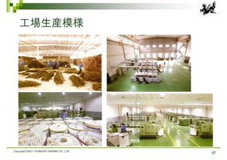 工場生産模様




Copyright(C)2011 YOUNGOR TRADING CO., LTD.
                                             45
 