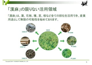 「漢麻」の限りない活用領域
    「漢麻」は、葉、花穂、種、茎、根など全ての部位を活用でき、産業
    用途として無限の可能性を秘めております。




Copyright(C)2011 YOUNGOR TRADING CO., LTD.
                                             6
 