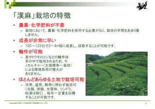 「漢麻」栽培の特徴
    • 農薬・化学肥料が不要
            – 栽培において、農薬・化学肥料を使用する必要がなく、栽培の手間をあまり要
              しません。
    • 成長が非常に早い
            – 100～120日で3～4m程に成長し、採取することが可能です。
    • 輪作が可能
            – 麦やトウモロコシなどの輪作体
              系の中で栽培されるため、モ
              ノカルチャー(大規模単一栽培)
              による環境負荷の増大が
              ありません。
    • ほとんどあらゆる土地で栽培可能
            – 冷帯、温帯、熱帯に問わず栽培可
              （北極、南極、氷雪体、ツンドラ、
              砂漠は除く） 。毎年一定量を収穫
              することが可能です。
Copyright(C)2011 YOUNGOR TRADING CO., LTD.
                                                    7
 