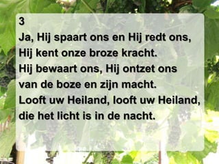 3Ja, Hij spaart ons en Hij redt ons,Hij kent onze broze kracht.Hij bewaart ons, Hij ontzet onsvan de boze en zijn macht.Looft uw Heiland, looft uw Heiland,die het licht is in de nacht.