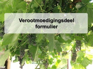 Verootmoedigingsdeelformulier
