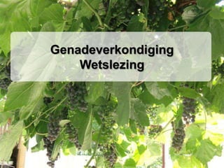GenadeverkondigingWetslezing