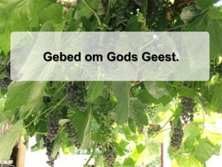 Gebed om Gods Geest.