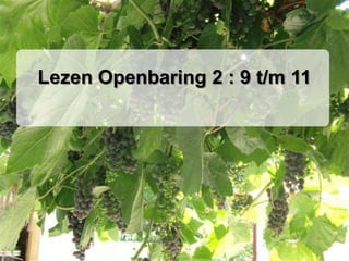 Lezen Openbaring 2 : 9 t/m 11