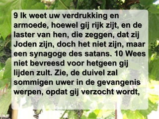 9 Ik weet uw verdrukking en armoede, hoewel gij rijk zijt, en de laster van hen, die zeggen, dat zij Joden zijn, doch het niet zijn, maar een synagoge des satans. 10 Wees niet bevreesd voor hetgeen gij lijden zult. Zie, de duivel zal sommigen uwer in de gevangenis werpen, opdat gij verzocht wordt,