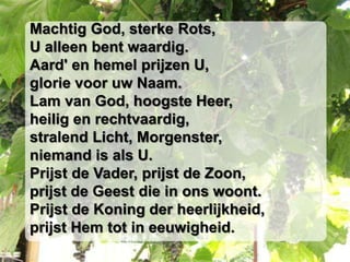 Machtig God, sterke Rots,U alleen bent waardig.Aard' en hemel prijzen U,glorie voor uw Naam.Lam van God, hoogste Heer,heilig en rechtvaardig,stralend Licht, Morgenster,niemand is als U.Prijst de Vader, prijst de Zoon,prijst de Geest die in ons woont.Prijst de Koning der heerlijkheid,prijst Hem tot in eeuwigheid.