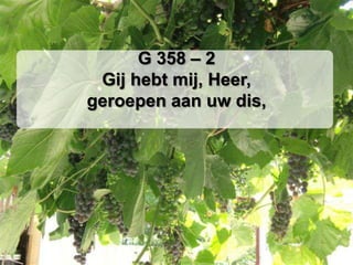 G 358 – 2Gij hebt mij, Heer, geroepen aan uw dis,