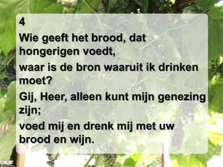 4Wie geeft het brood, dat hongerigen voedt,waar is de bron waaruit ik drinken moet?Gij, Heer, alleen kunt mijn genezing zijn;voed mij en drenk mij met uw brood en wijn.