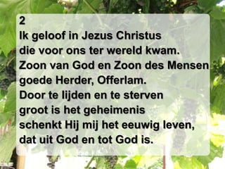 2Ik geloof in Jezus Christusdie voor ons ter wereld kwam.Zoon van God en Zoon des Mensengoede Herder, Offerlam.Door te lijden en te stervengroot is het geheimenisschenkt Hij mij het eeuwig leven,dat uit God en tot God is.