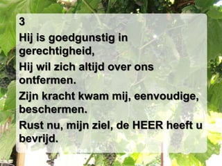 3Hij is goedgunstig in gerechtigheid,Hij wil zich altijd over ons ontfermen.Zijn kracht kwam mij, eenvoudige, beschermen.Rust nu, mijn ziel, de HEER heeft u bevrijd.