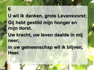 6U wil ik danken, grote Levensvorst;Gij hebt gestild mijn honger en mijn dorst.Uw kracht, uw leven daalde in mij neer;in uw gemeenschap wil ik blijven, Heer.