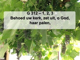 G 312 – 1, 2, 3Behoed uw kerk, zet uit, o God, haar palen,