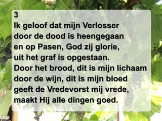 3Ik geloof dat mijn Verlosserdoor de dood is heengegaanen op Pasen, God zij glorie,uit het graf is opgestaan.Door het brood, dit is mijn lichaamdoor de wijn, dit is mijn bloedgeeft de Vredevorst mij vrede,maakt Hij alle dingen goed.