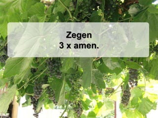 Zegen3 x amen. 