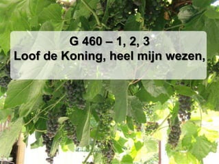 G 460 – 1, 2, 3Loof de Koning, heel mijn wezen,