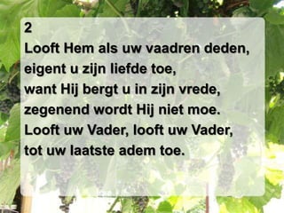 2Looft Hem als uw vaadren deden,eigent u zijn liefde toe,want Hij bergt u in zijn vrede,zegenend wordt Hij niet moe.Looft uw Vader, looft uw Vader,tot uw laatste adem toe.