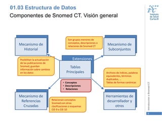 Snomed Ct R Introducción a Snomed CT | PDF