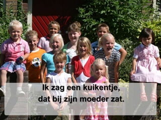 Ik zag een kuikentje,dat bij zijn moeder zat.