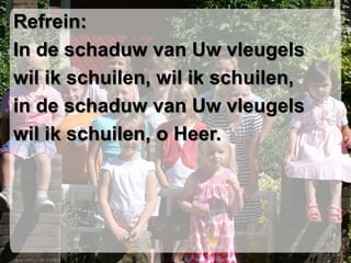 Refrein:In de schaduw van Uw vleugelswil ik schuilen, wil ik schuilen,in de schaduw van Uw vleugelswil ik schuilen, o Heer.