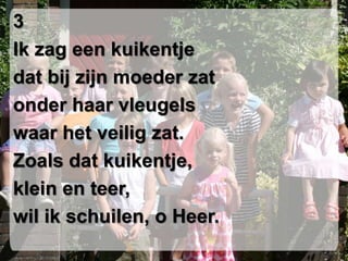 3Ik zag een kuikentjedat bij zijn moeder zatonder haar vleugelswaar het veilig zat.Zoals dat kuikentje,klein en teer,wil ik schuilen, o Heer.