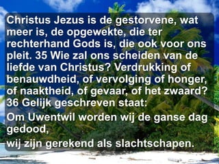 Christus Jezus is de gestorvene, wat meer is, de opgewekte, die ter rechterhand Gods is, die ook voor ons pleit. 35 Wie zal ons scheiden van de liefde van Christus? Verdrukking of benauwdheid, of vervolging of honger, of naaktheid, of gevaar, of het zwaard? 36 Gelijk geschreven staat: Om Uwentwil worden wij de ganse dag gedood, wij zijn gerekend als slachtschapen. 
