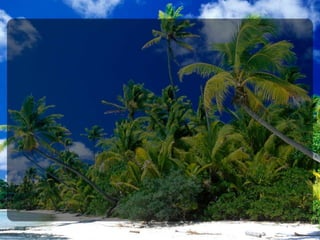 Waar staat u in de strijd?