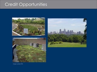 Credit Opportunities Images courtesy PWD 