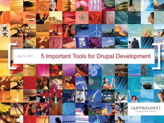 5 Important Tools for Drupal Development July 14, 2011 