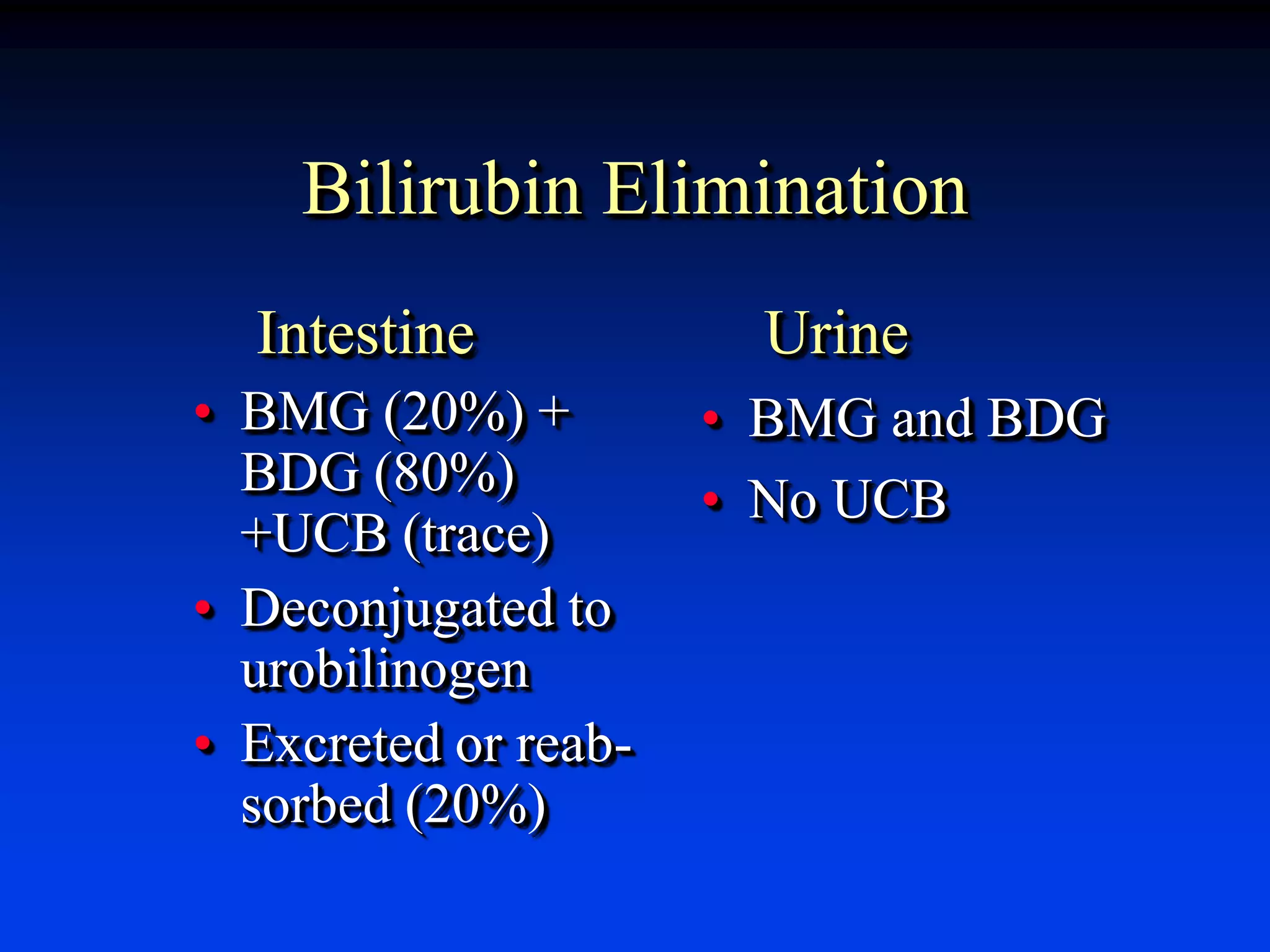Bilirubin Elimination
Intestine
• BMG (20%) +
BDG (80%)
+UCB (trace)
• Deconjugated to
urobilinogen
• Excreted or reab-
sorbed (20%)
Urine
• BMG and BDG
• No UCB
 