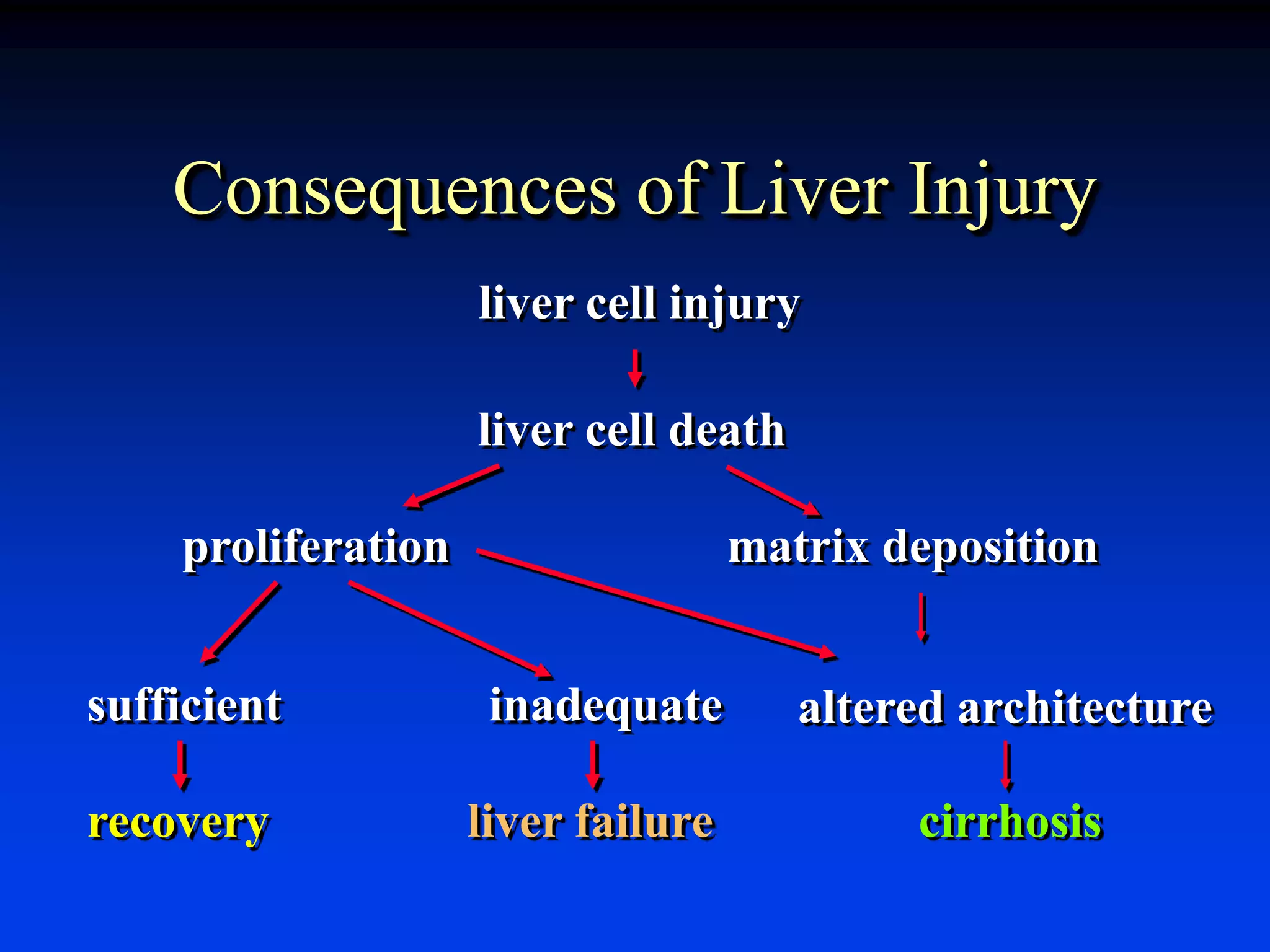 Consequences of Liver Injury
liver cell injury
liver cell death
proliferation matrix deposition
sufficient inadequate altered architecture
recovery liver failure cirrhosis
 