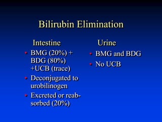 Bilirubin Elimination
Intestine
• BMG (20%) +
BDG (80%)
+UCB (trace)
• Deconjugated to
urobilinogen
• Excreted or reab-
sorbed (20%)
Urine
• BMG and BDG
• No UCB
 
