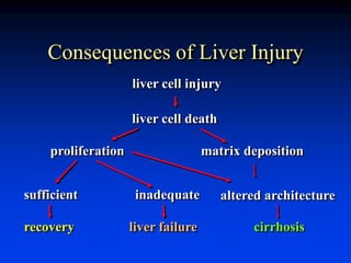 Consequences of Liver Injury
liver cell injury
liver cell death
proliferation matrix deposition
sufficient inadequate altered architecture
recovery liver failure cirrhosis
 