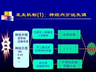 发生机制(1)：神经内分泌失调


           交感肾上腺髓质
    神经中枢     儿茶酚胺    血管收缩
    室旁核
应   边缘系统
激
源   神经介质
    TRH
            肾上腺皮质
           外周神经体液
                     ？？？     SU
    5-HT
    NE
    …                平滑肌收缩
             副交感
            胆碱能神经     胃酸分泌
 