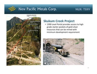 Skukum Creek Project
 • 1300 Level Portal provides access to high 
   grade starter pockets of gold‐silver 
   resources that can be mined with 
   minimum development requirement




                                                11
 