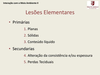 Interação com o Meio Ambiente IILesões ElementaresPrimárias  Planas Sólidas Conteúdo líquidoSecundarias Alteração da consistência e/ou espessura Perdas Teciduais