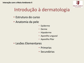 Introdução à dermatologiaEstrutura do cursoAnatomia da peleEpidermeDermeHipodermeAparelho unguealAparelho PilarLesões ElementaresPrimariasSecundáriasInteração com o Meio Ambiente II