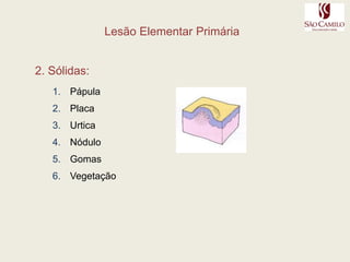   artérias ou veias de pequeno calibre - menor que 2mm