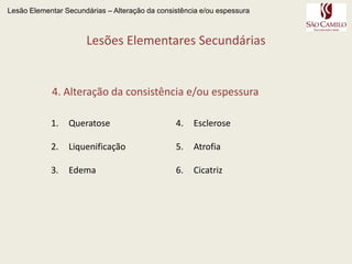   superfície plana ou encurvada