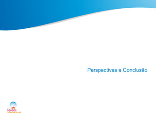Perspectivas e Conclusão
 