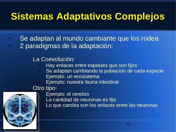 2011 08 15 ponencia como sistema complejo