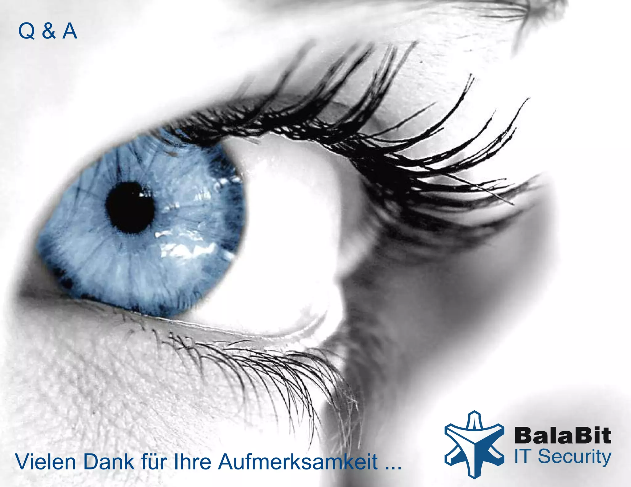 Q&A




Vielen Dank für Ihre Aufmerksamkeit ...   www.balabit.com
 