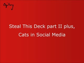 Steal This Deck part II plus, Cats in Social Media